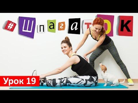 Наклон к ногам сидя | Проект # ШпагатОК | Сядь на шпагат