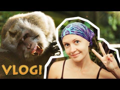 BALI VLOG: Лес обезьян (Бали, Убуд) | Monkey Forest (Bali, Ubud)