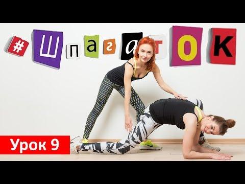 Упражнение для продольного шпагата | Поза Ящерицы | Проект #ШпагатОК