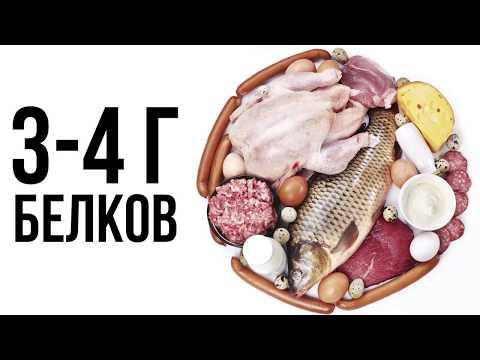 ЧЕМ КОРМИТЬ СОБАКУ | ДОГМАМА АНЯ И СОБАКИ